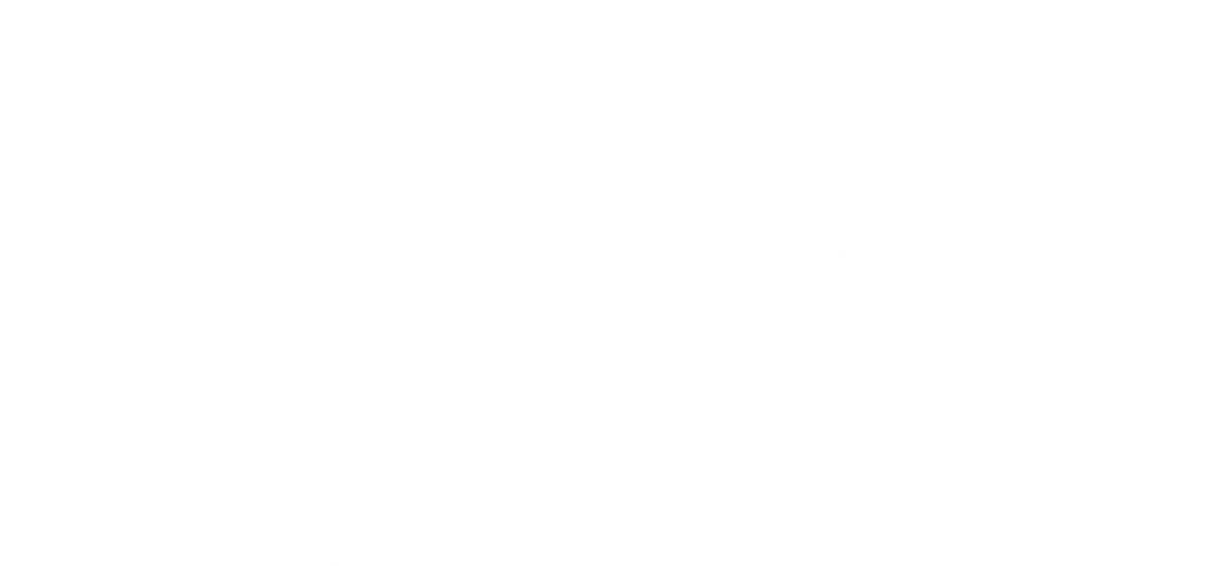 Logo_iBMS_3_white